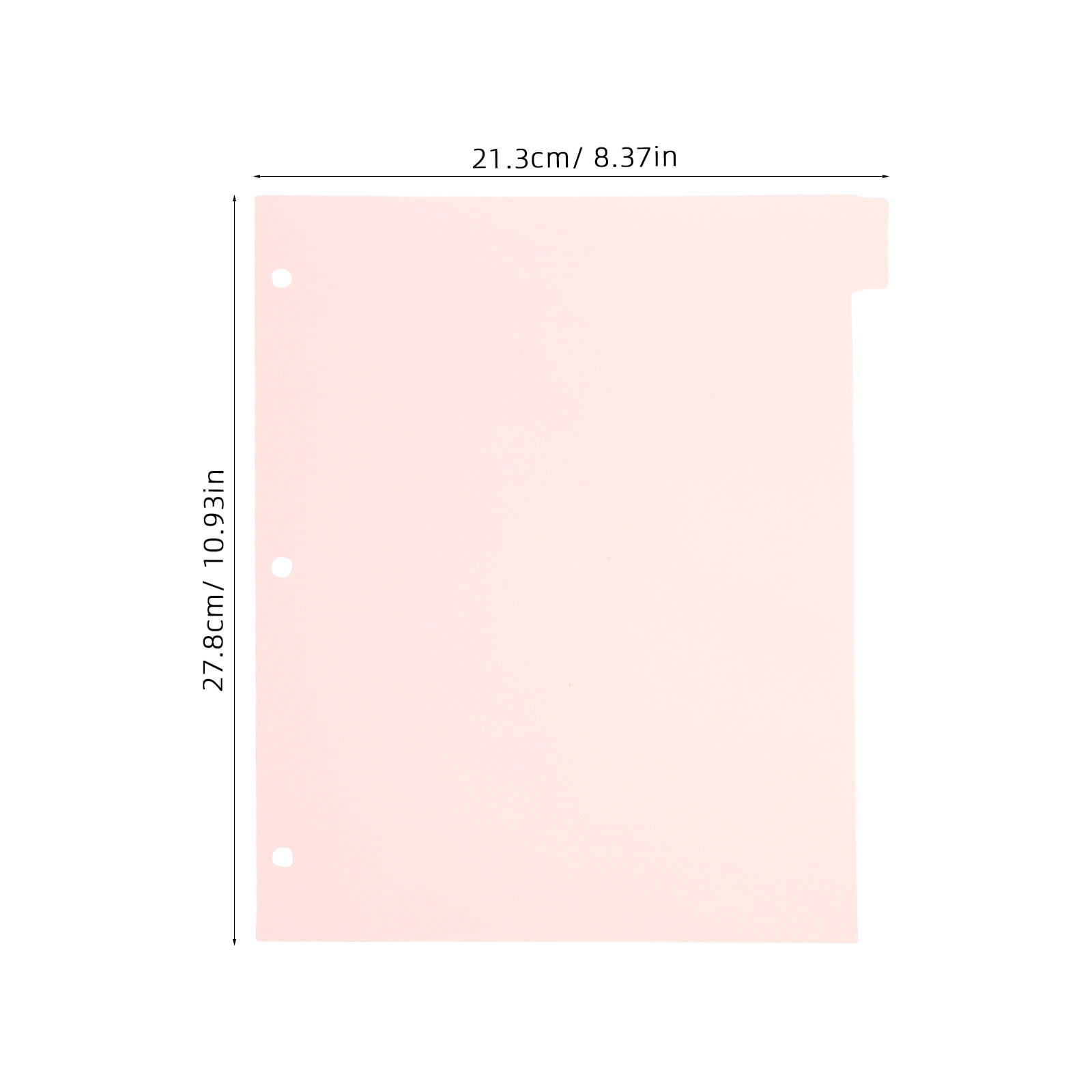 8매의 튼튼한 바인더 디바이더(탭 포함) - 6링 바인 - Tab Divider A4 리뷰 및 가격
